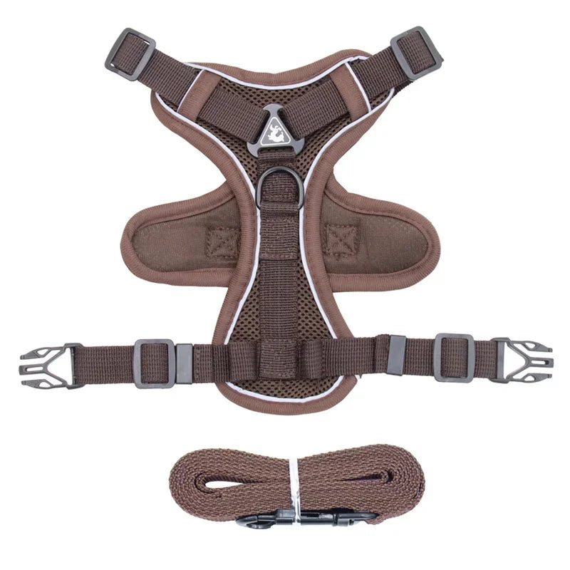 Pet AngelWing Harness Leash Set 2