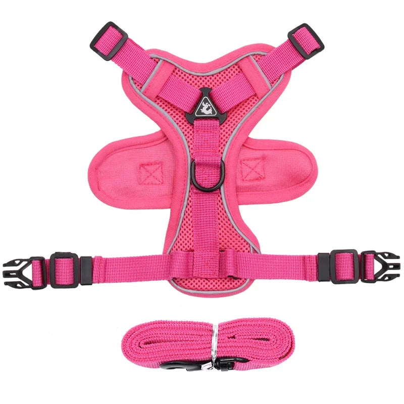 Pet AngelWing Harness Leash Set 2