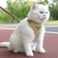 Soft Padded Cat & Small Dog Harness