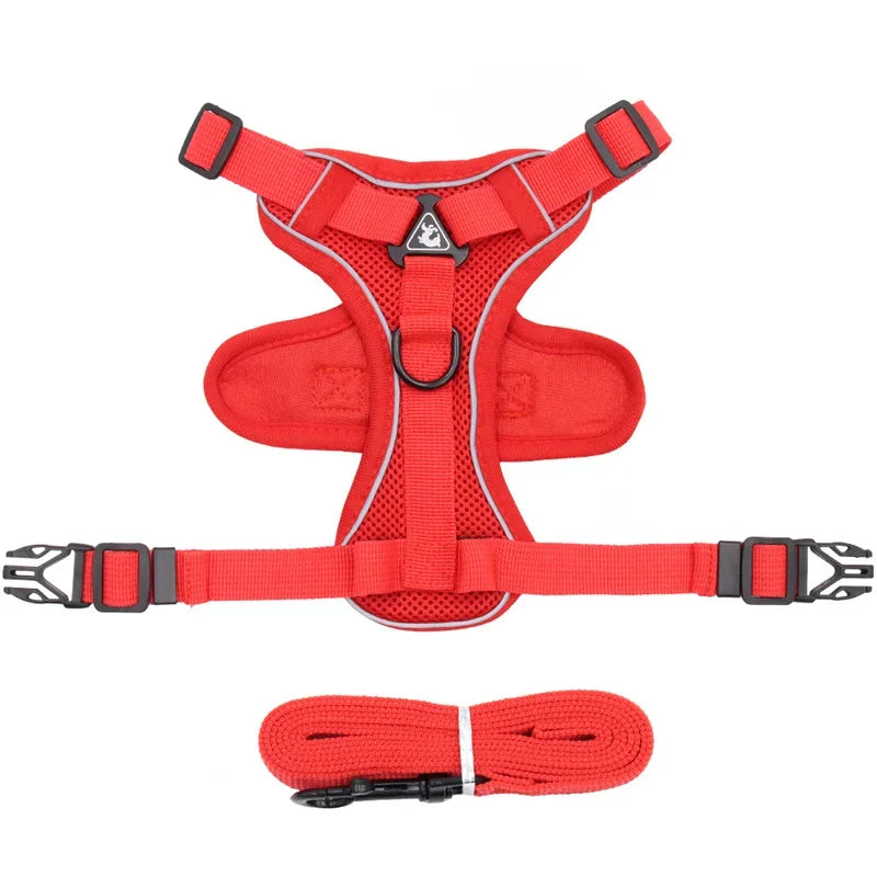 Pet AngelWing Harness Leash Set 2