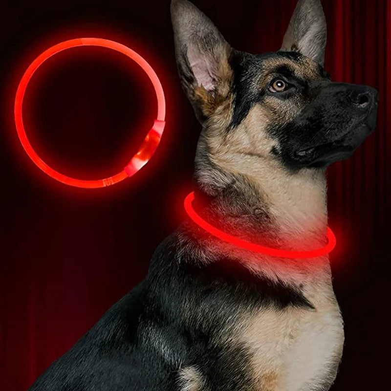 LED Pet Guard Collar