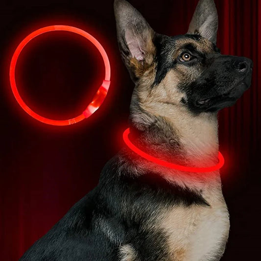 LED Pet Guard Collar