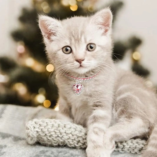Rhinestone Shine Pet Necklace