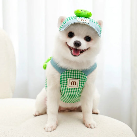 ChicPet Summer Dress Leash Set
