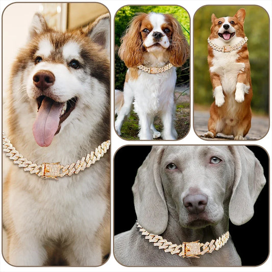 Diamond Cuban Pet Collar