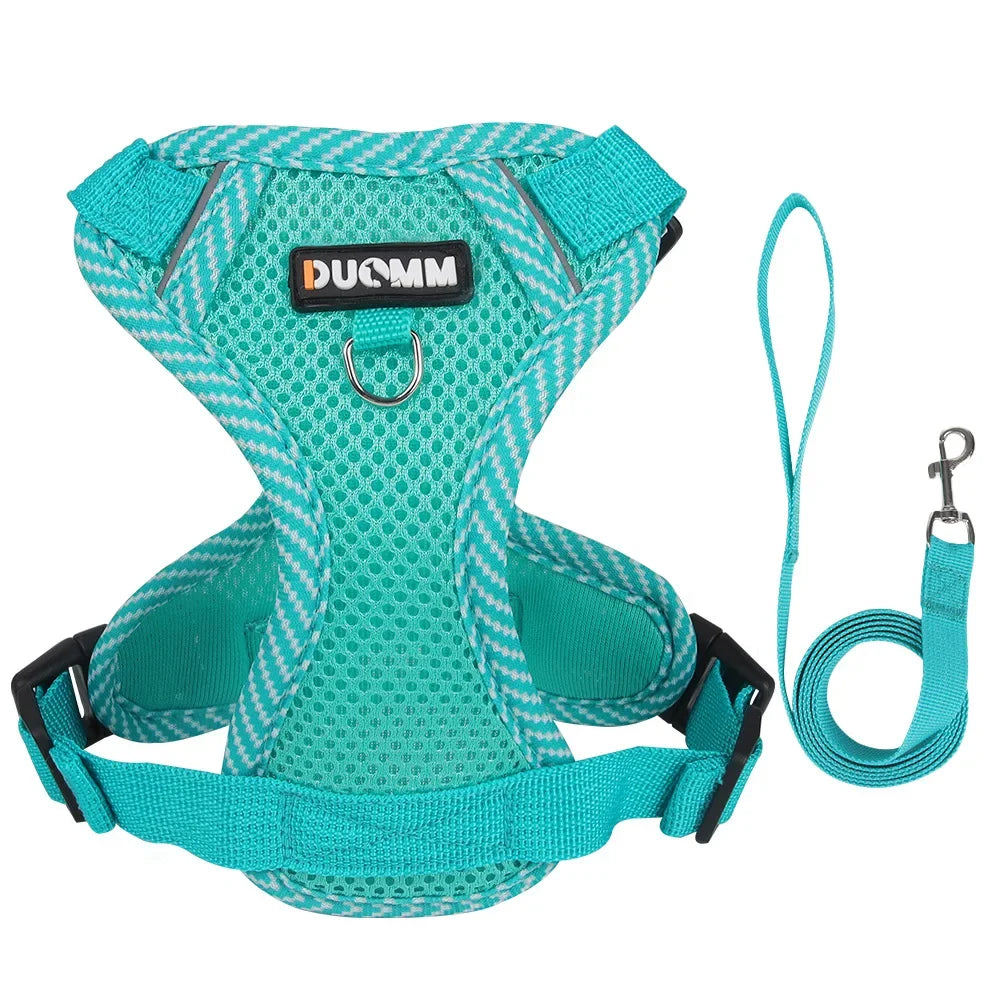 Pet AngelWing Harness Leash Set 2
