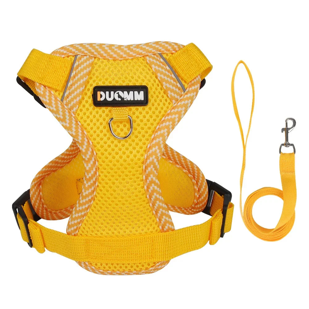 Pet AngelWing Harness Leash Set 2