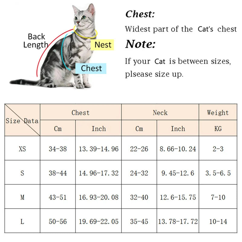 Soft Padded Cat & Small Dog Harness