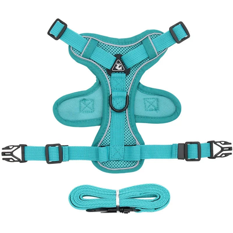 Pet AngelWing Harness Leash Set 2