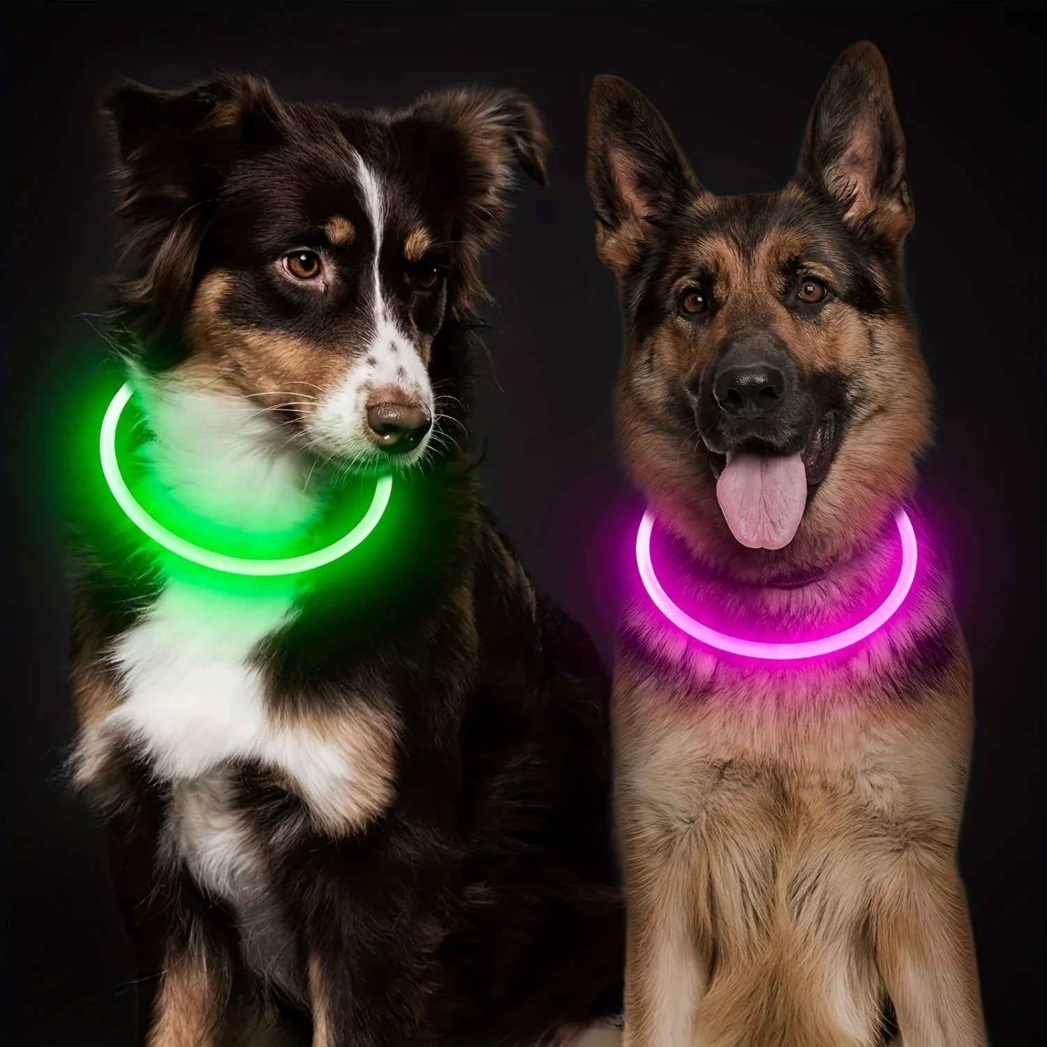 LED Collar Pet LightSafe