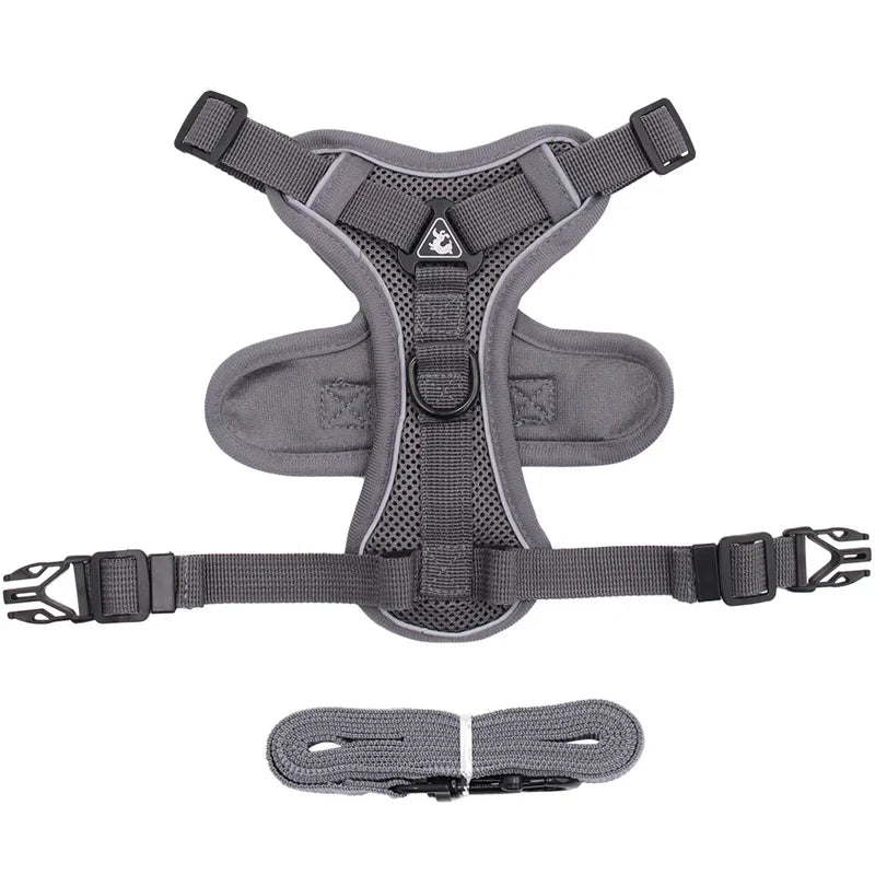 Pet AngelWing Harness Leash Set 2