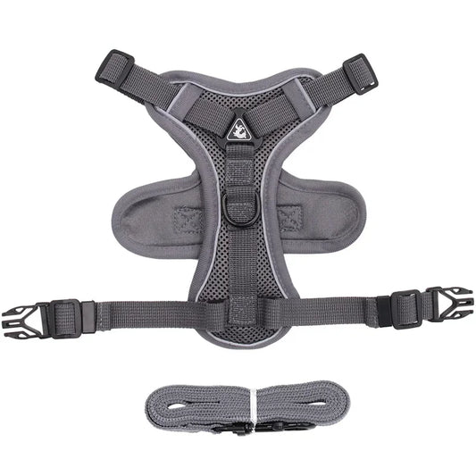 Pet AngelWing Harness Leash Set 2