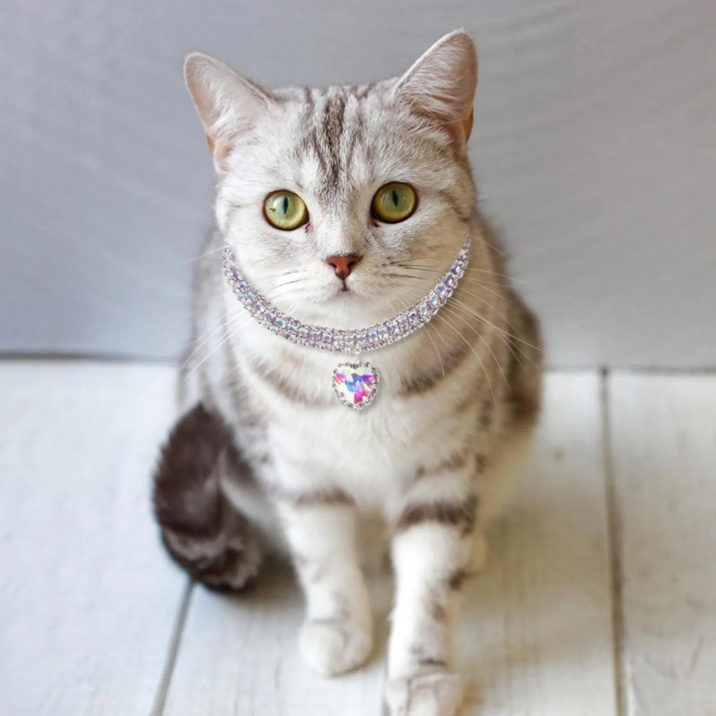 Rhinestone Shine Pet Necklace