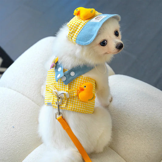 ChicPet Summer Dress Leash Set