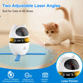 Smart 4 in 1 Cat Toy