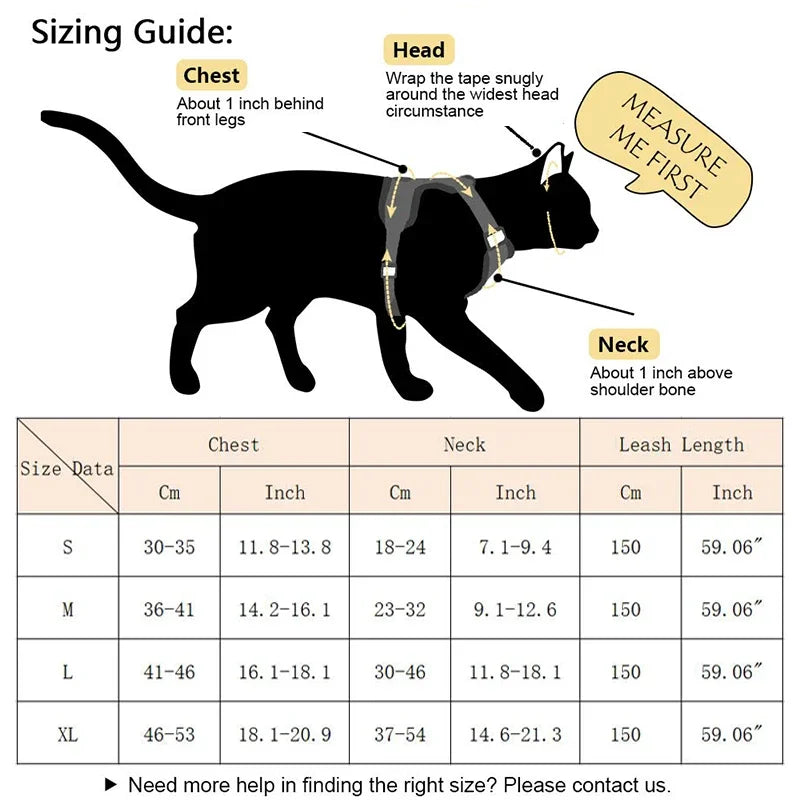 Pet AngelWing Harness Leash Set 2