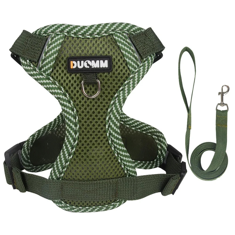 Pet AngelWing Harness Leash Set 2