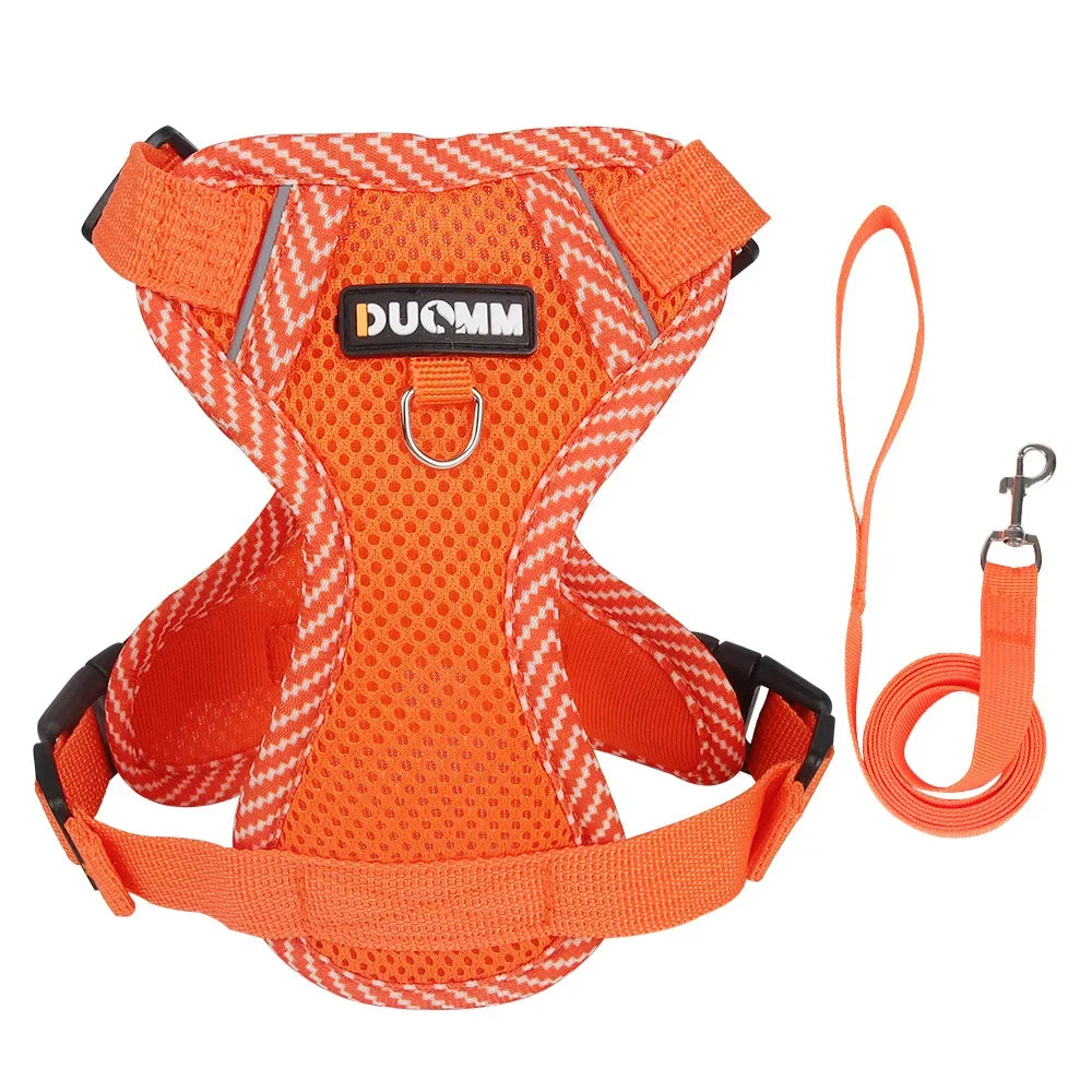 Pet AngelWing Harness Leash Set 2