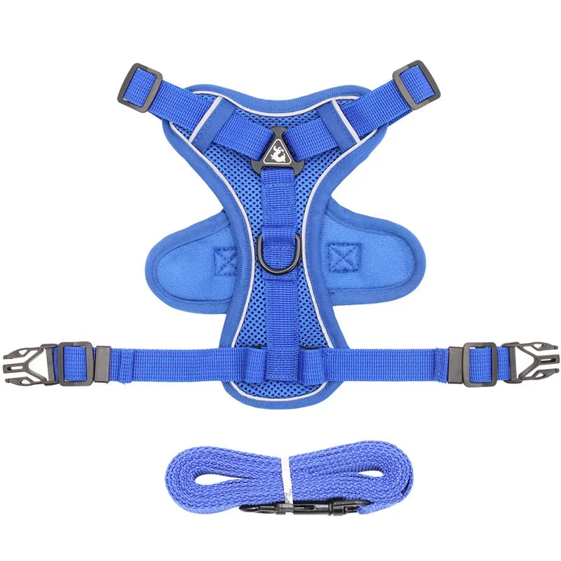 Pet AngelWing Harness Leash Set 2