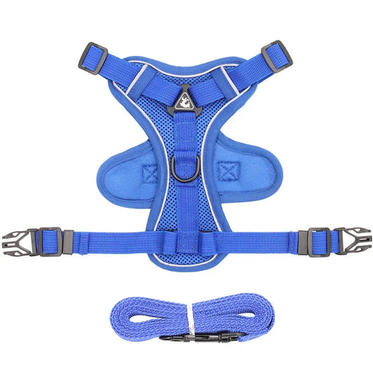 Pet AngelWing Harness Leash Set 2