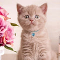 Rhinestone Shine Pet Necklace