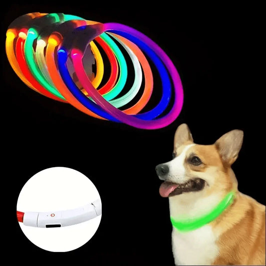 LED Collar Pet LightSafe