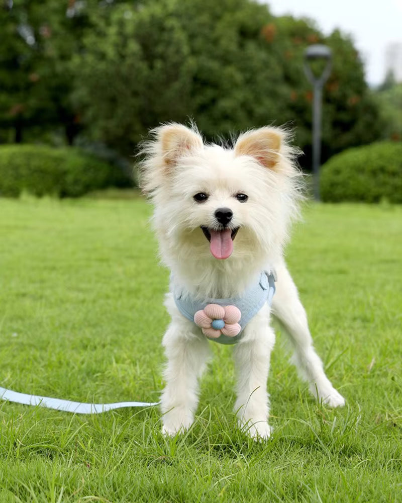 Pet Angel Flower Harness