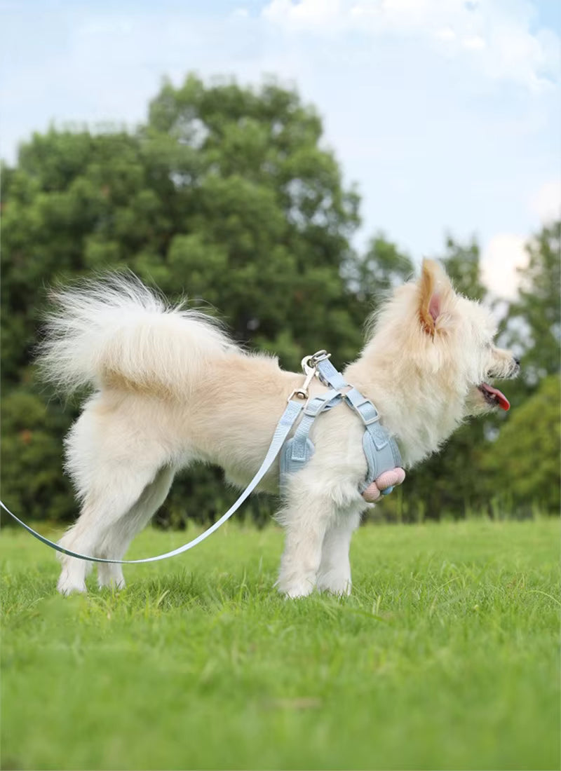 Pet Angel Flower Harness