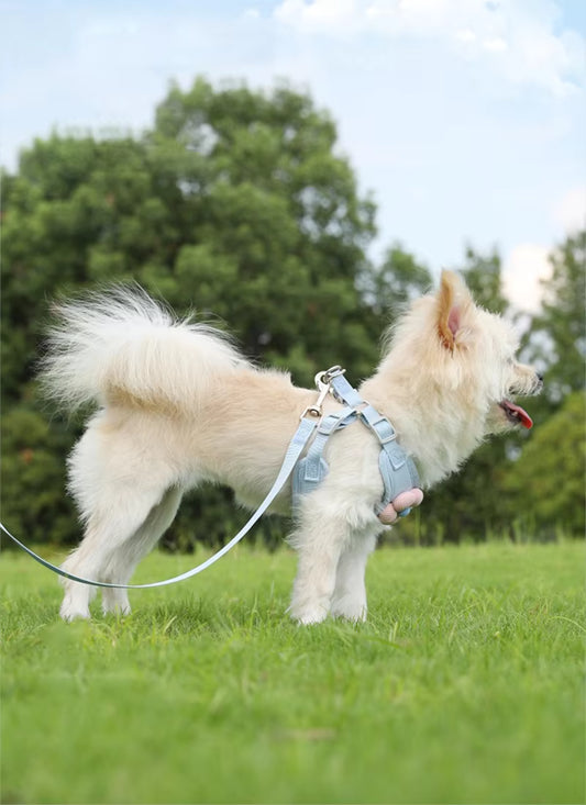 Pet Angel Flower Harness