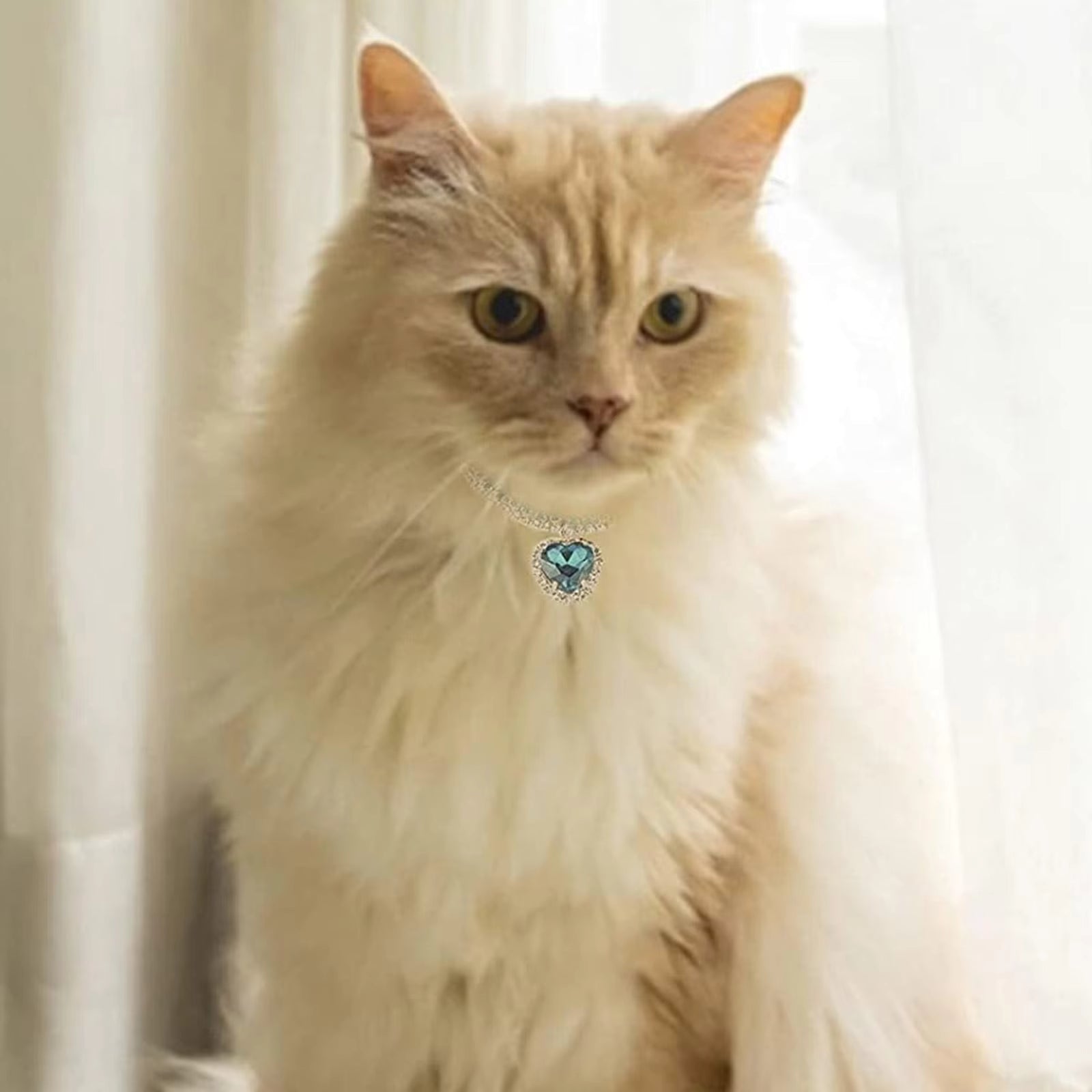 Rhinestone Shine Pet Necklace