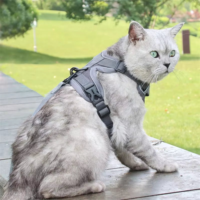 Pet Army Harness Set
